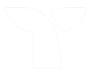 ECOM84 partner logo